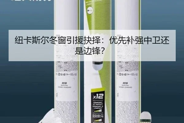 纽卡斯尔冬窗引援抉择：优先补强中卫还是边锋？